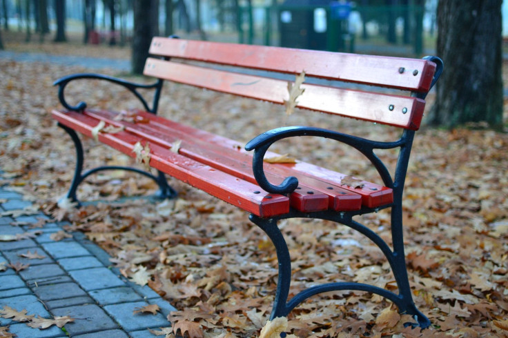 Bench surrounded by leaves