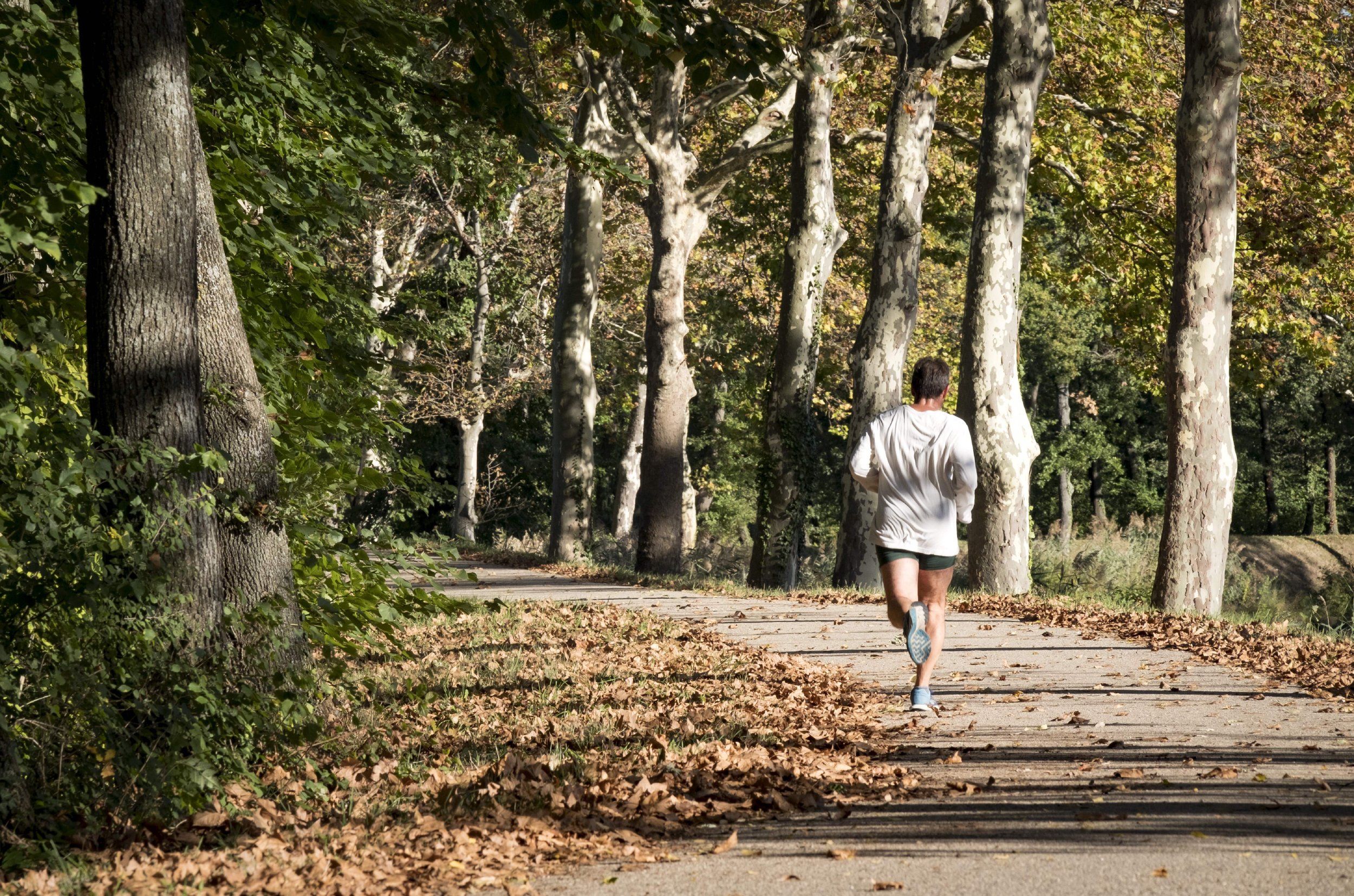 Is Exercise Bad For You Too Much May Be Unhealthy For Your Heart