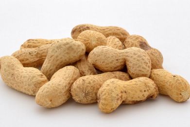 The breakthrough treatment, which could help protect against accidental exposure to peanuts, is expected to become available during late 2019.