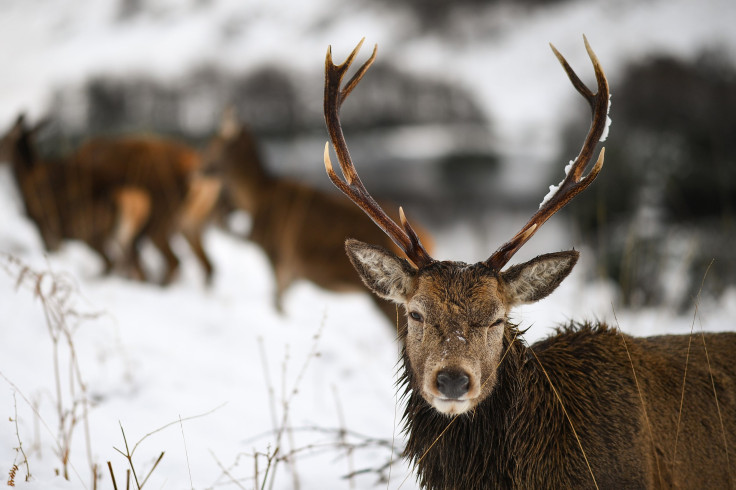 Met Office Issues Heavy Snow Weather Warnings