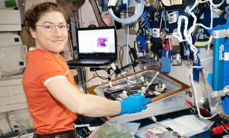 NASA astronaut Christina Koch aboard the ISS