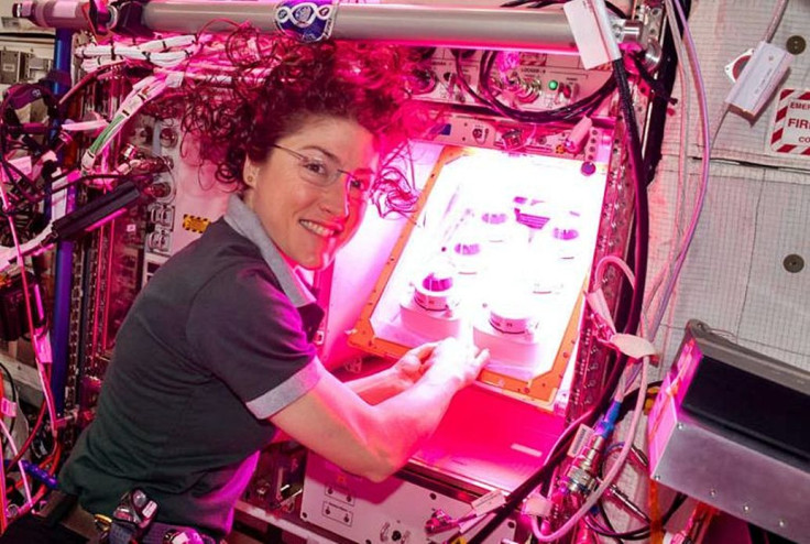 NASA astronaut Christina Koch initiates the Veg-PONDS-02 experiment on the ISS