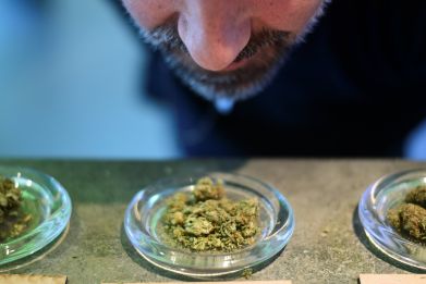 A picture taken on June 5, 2019 shows a man smelling a sample of Marijuana buds, often simply called weed or pot, which is the unprocessed form of the female cannabis plant, at the 