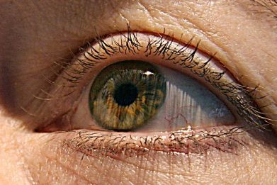 US scientists have identified two genes responsible for macular degeneration, the gradual deterioration of eyesight in the elderly that can lead to blindness, a study showed this week.