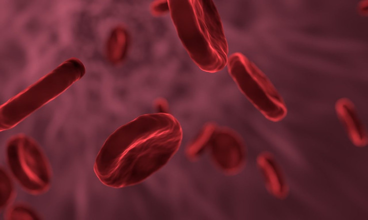 Blood