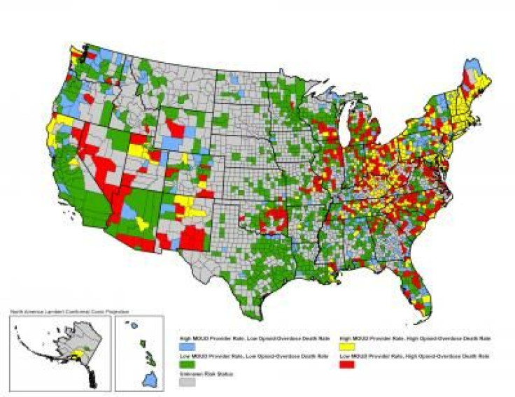 Opioid Crisis In US