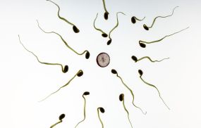 A study found that frequent exposure to sperm could help women reduce their risk of contracting HIV because of changes in vaginal tissue immune cells.