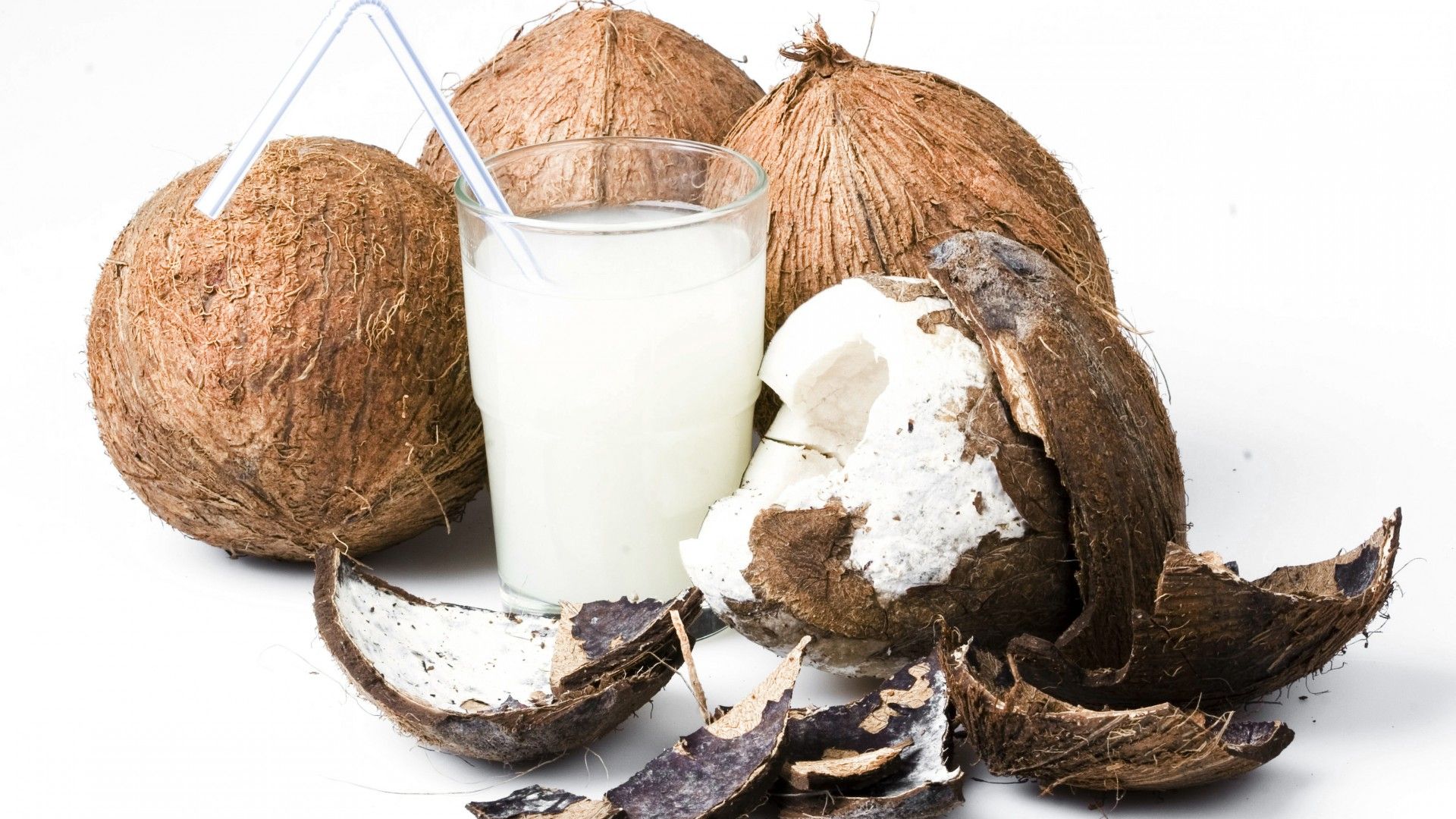 7 Best Coconut Milk Powder For Vegans