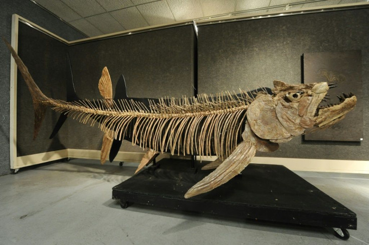 Fossil Fish