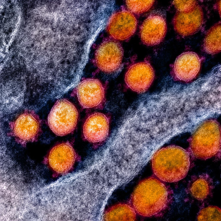 Coronavirus