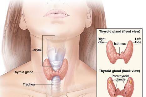 Thyroid cancer is becoming another significant women’s health issue.