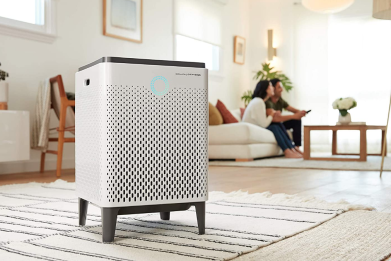 Here are the 10 best air purifiers to help improve the air you and your family breathe.