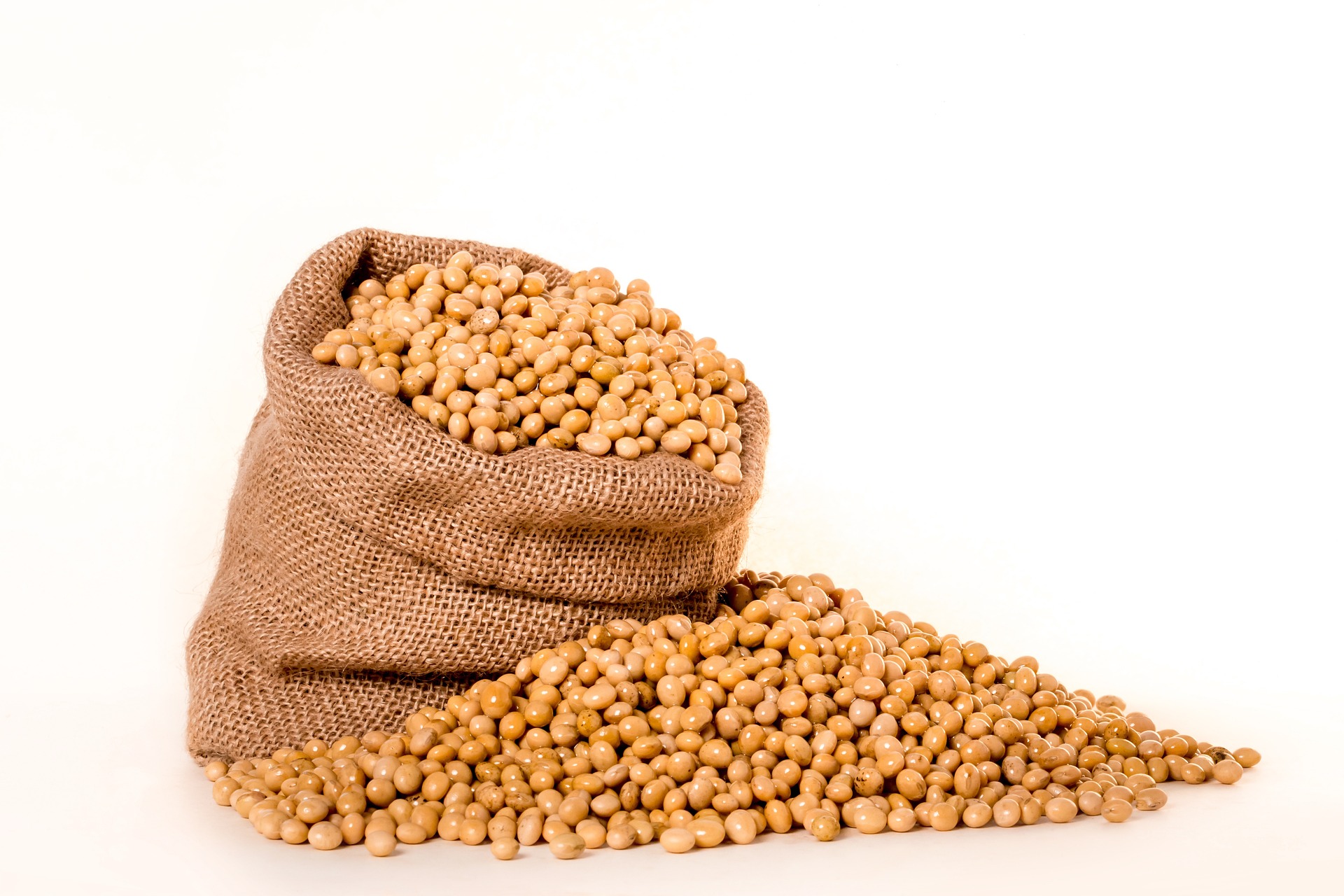 From Reducing Gut Inflammation To Mitigating Colorectal Cancer, Know Health Benefits Of Soybean