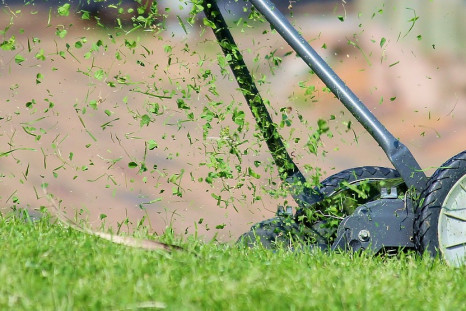 Do Free Lawn Maintenance