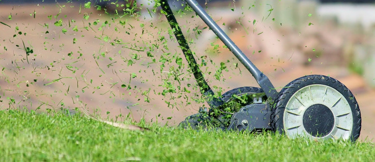 Do Free Lawn Maintenance