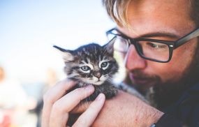 The research team from the University of Queensland in Australia reviewed 17 studies on the topic and found there is a 2.35 times higher likelihood of Schizophrenia in cat owners when other factors are not taken into account.
