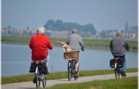 The study confirmed that a combination of genetics and environmental factors reduces longevity in dementia patients