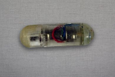 MIT engineers designed an ingestible capsule that vibrates within the stomach. These vibrations activate the same stretch receptors that sense when the stomach is distended, creating an illusory sense of fullness and reducing appetite. Such a pill could offer a minimally invasive, cost-effective way to treat obesity.