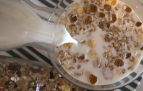 A dairy-based, high-protein, low-carbohydrate breakfast could help improve satiety without affecting the total daily energy intake, the study has found.