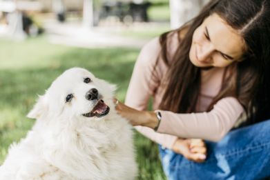 The study examined how various types of interactions with dogs can affect human brainwave patterns.