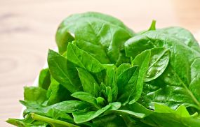 The researchers suggest that instead of completely cutting folate-rich foods or supplements, drugs that could specifically regulate dietary folate intake for older adults should be developed.