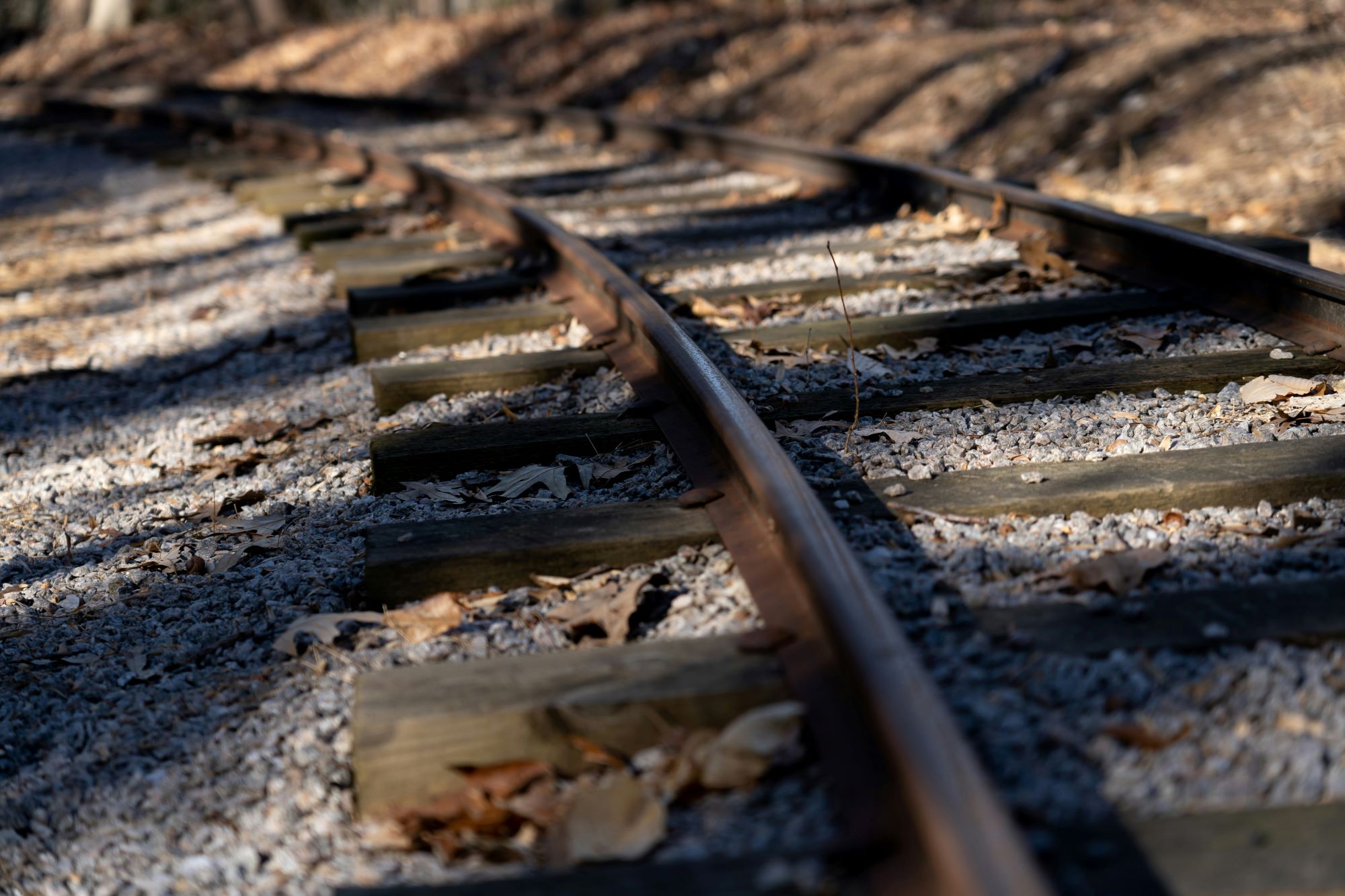 A Nurse Married the Practice Driver Who Stopped Her from Killing Herself on Railroad Tracks. She Returned the Favor by Saving His Life