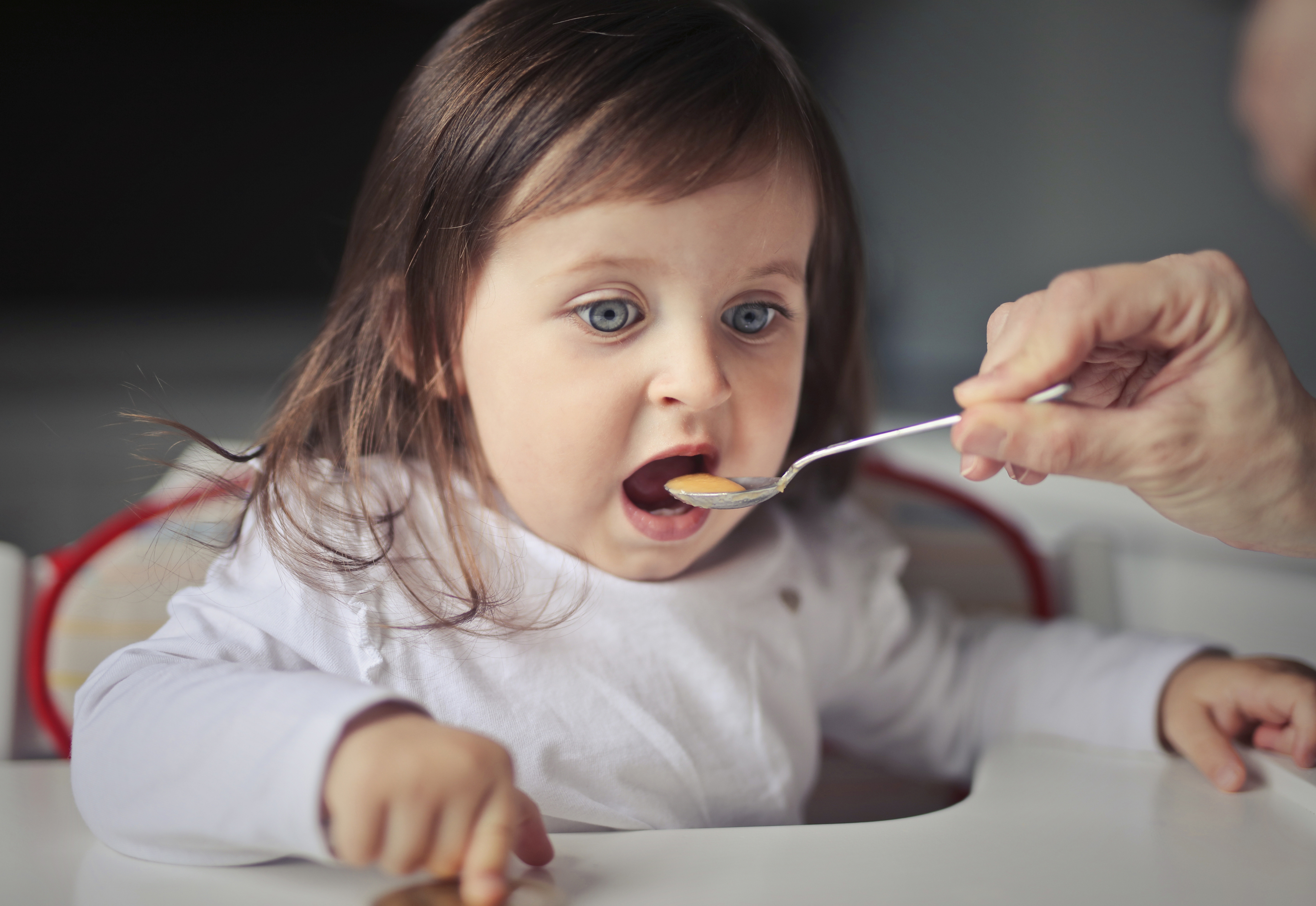 New FDA Pointers On Lead In Child Meals ‘Inadequate’, Say Well being Advocates, Calling For Stricter Limits