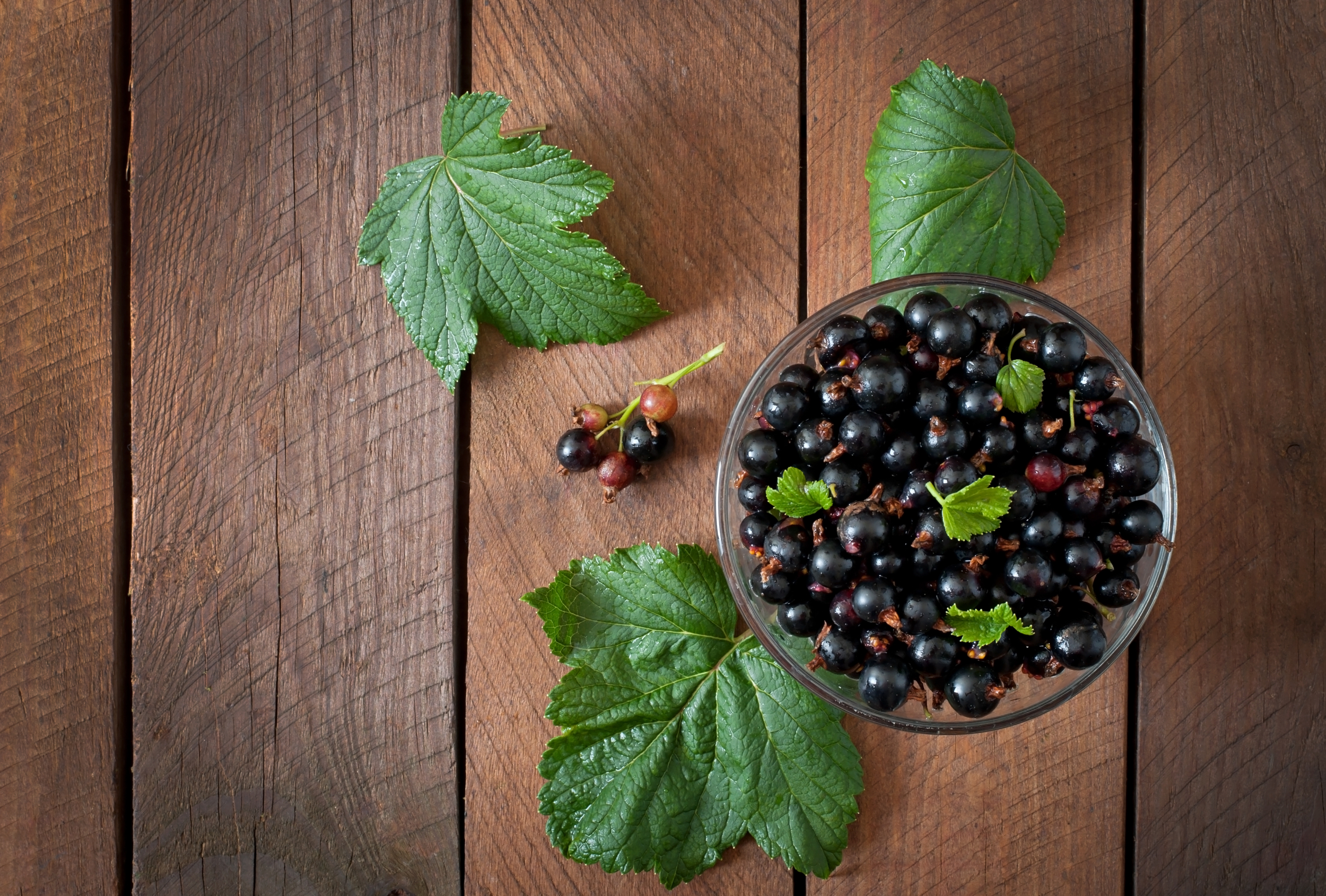 Juice From This ‘Underappreciated’ Berry Might Assist You Lose Weight, Enhance Metabolic Well being