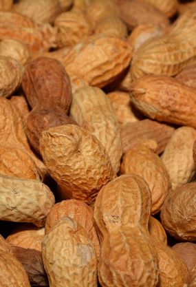 Peanuts