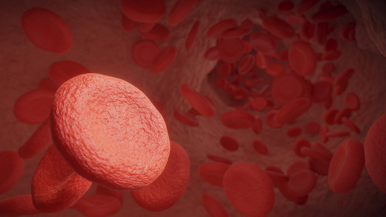 Coronary Artery Disease Symptoms and Blocked Arteries: The Warning Signs That Save Lives