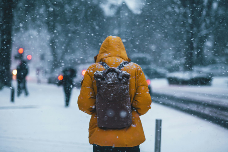 Person Wearing Jacket During Snow