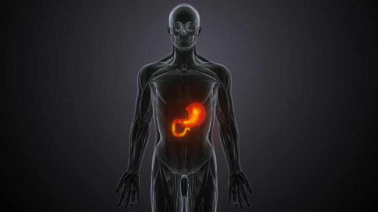 Metabolism