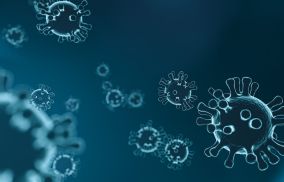 Immune System