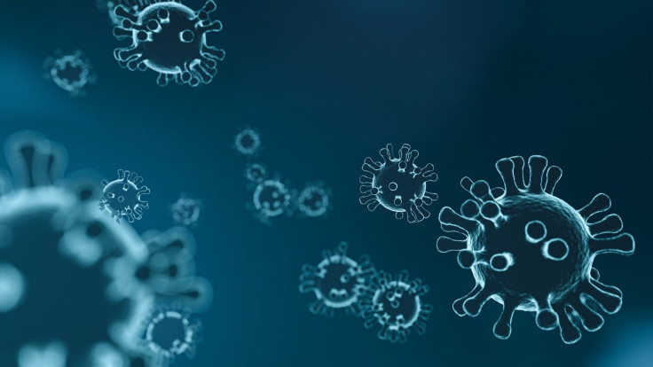 Immune System