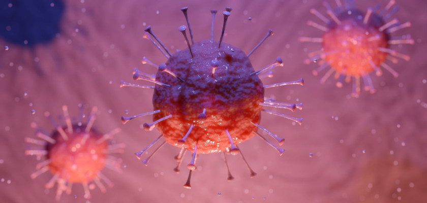 Virus