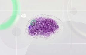 brain