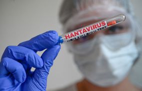Hantavirus