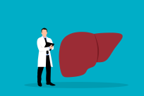 Liver