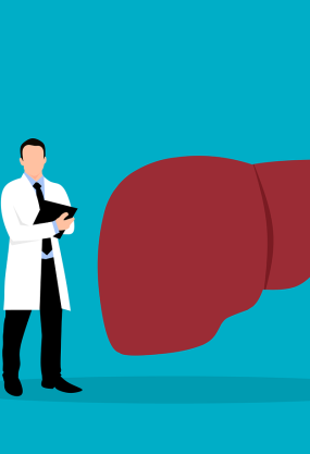 Liver