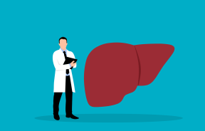 Liver