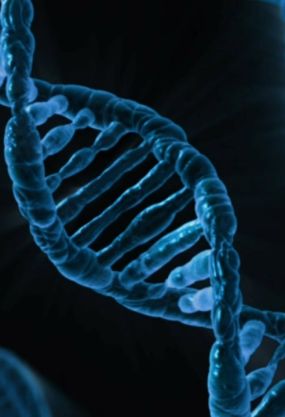 Gene