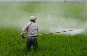 Pesticide