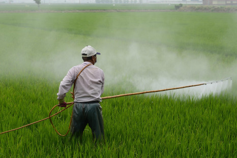 Explore how long term pesticide exposure contributes to neurotoxicity, reduced fertility, and reproductive health risks, plus practical steps to limit pesticide exposure and protect wellbeing.