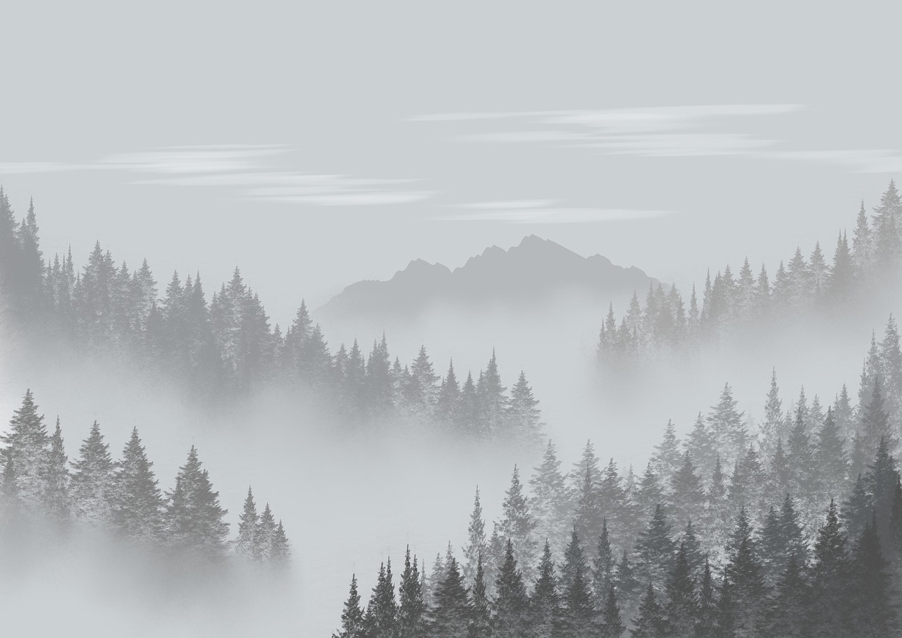High Humidity Health Effects on Asthma, Fatigue, and Heat You Should Know High Humidity Health Effects on Asthma, Fatigue, and Heat You Should Know