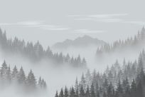 Humidity