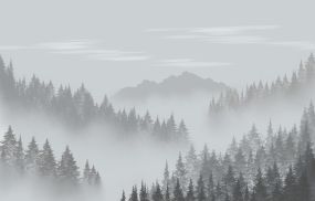 High humidity health risks include asthma flare ups fatigue and heat stress Learn how humidity affects breathing energy and temperature regulation and how to stay safe.