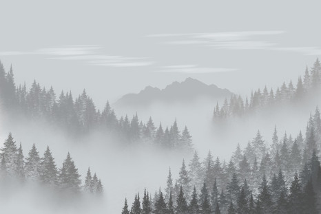 High humidity health risks include asthma flare ups fatigue and heat stress Learn how humidity affects breathing energy and temperature regulation and how to stay safe.