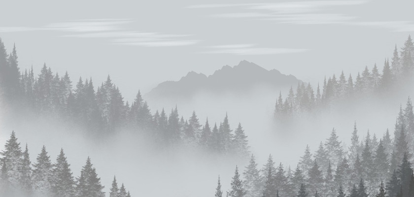 Humidity