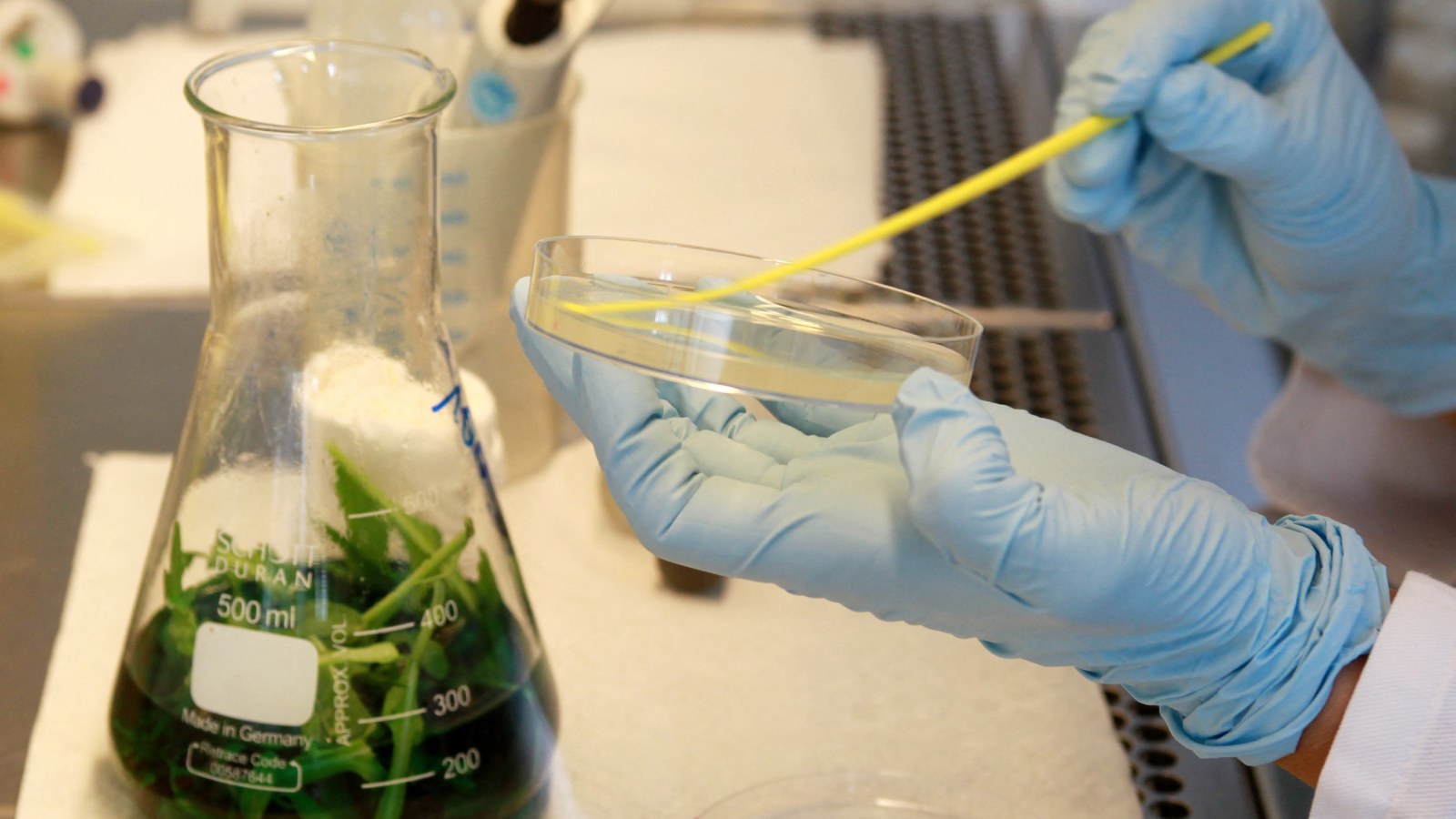 Michigan's Cyclospora Parasite Outbreak Has Exploded to 681 Cases in One Week as Health Officials Urge Precautions