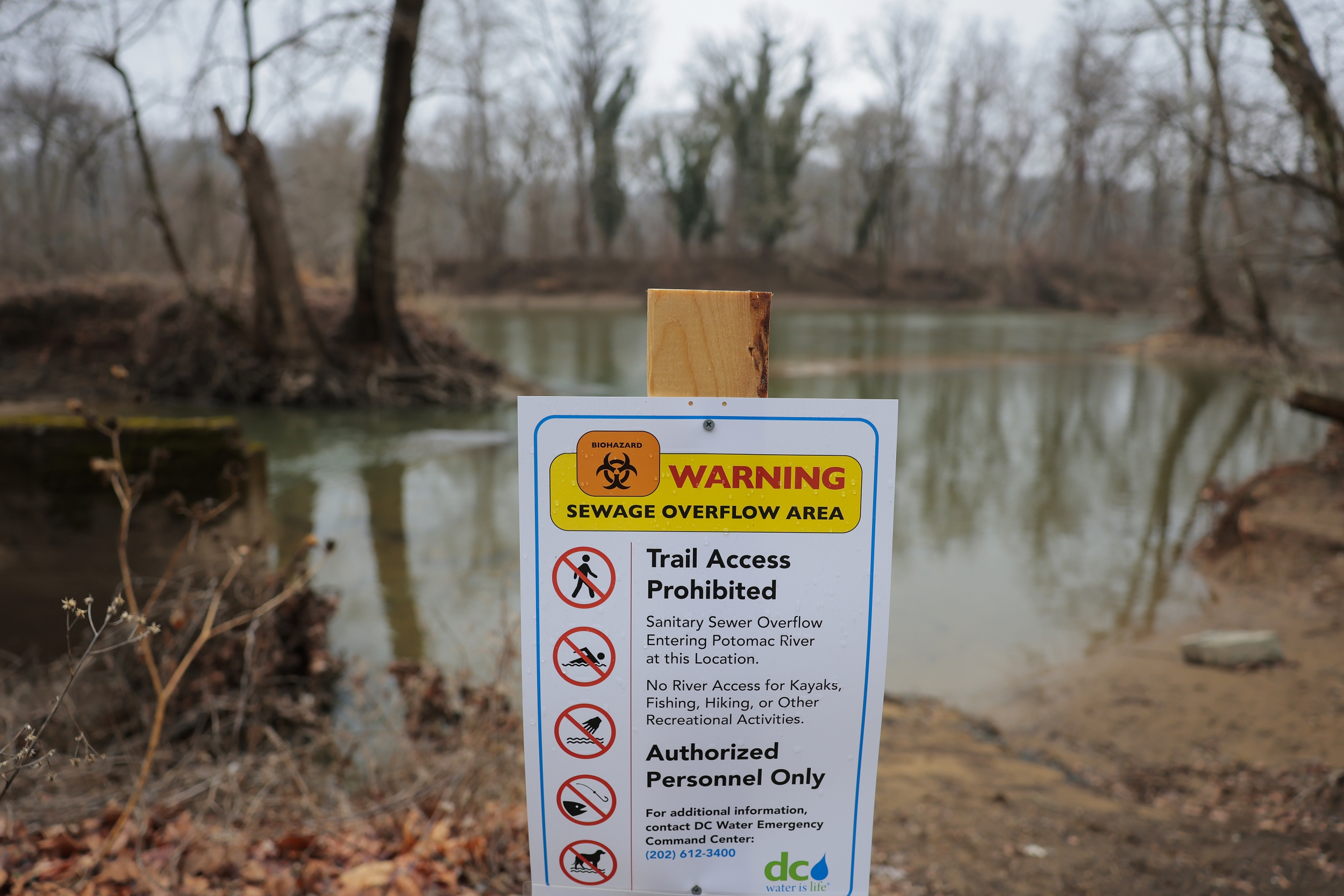 COVID’s Nimbus Variant Is Now Dominant in the United States as Wastewater Signals Rise in 10 States COVID’s Nimbus Variant Is Now Dominant in the United States as Wastewater Signals Rise in 10 States